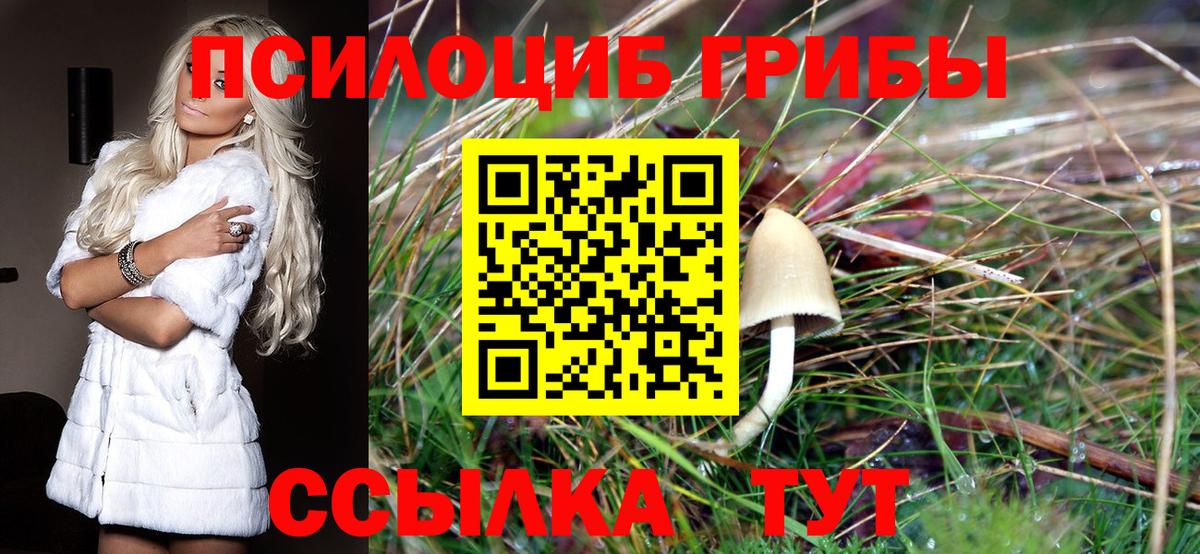 цены   Вход с VPN  Североморск  Псилоцибиновые грибы ЛСД 